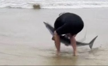 E kishte nxjerrë uji në rërë, burri nga Australia ia shpëton jetën peshkaqenit – e kthen në det