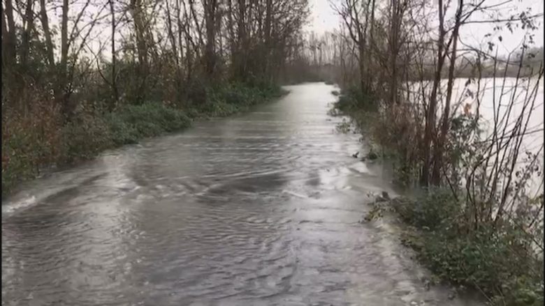 110 banesa me prezencë uji në Shkodër, kërkohen ushqime dhe çizme