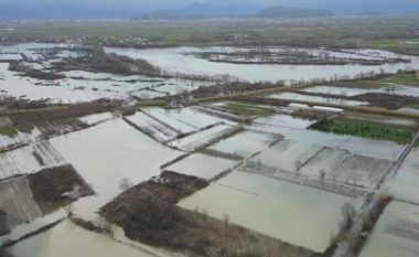 Dëmet nga përmbytjet në Shqipëri dhe nevoja për dëmshpërblimin e tyre