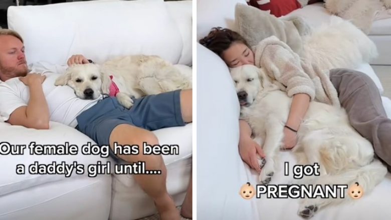 Qeni ishte ‘vajza’ e babait derisa nëna mbeti shtatzënë