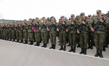 Rreth 3 milionë euro për kompaninë private, për transportin e ushtarëve të FSK-së