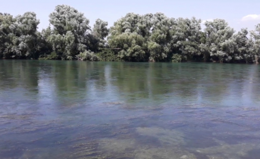 Ishte shpallur në kërkim prej disa ditësh, gjendet i mbytur 60-vjeçari në lumin Buna