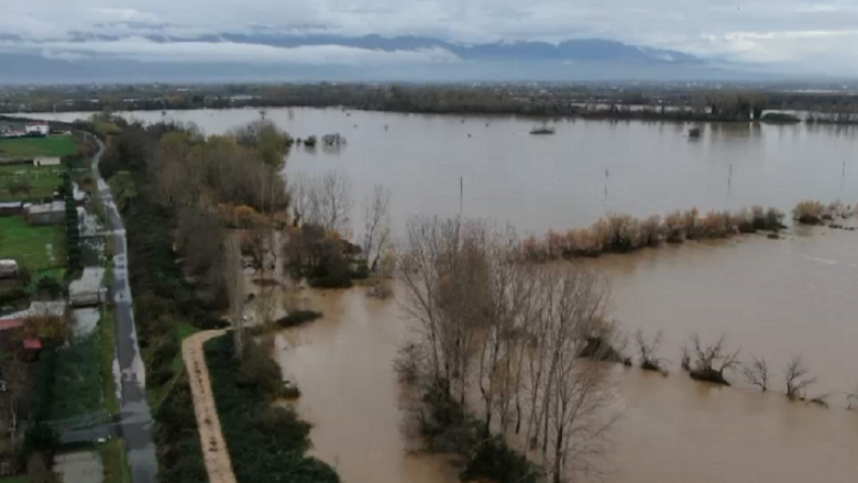 Përmbytje në Shkodër, 1400 hektarë tokë dhe 15 shtëpi në ujë