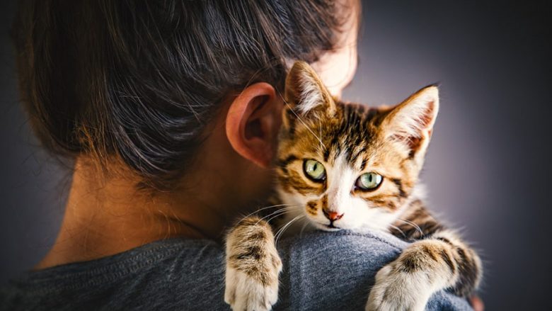 Macet janë ideale për njerëzit që vuajnë nga ankthi