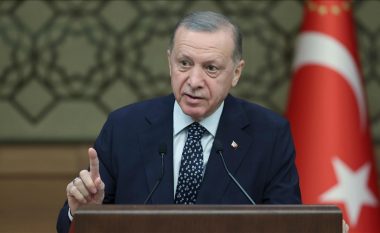 Erdogan: Disa vende janë bërë strehë për terroristët që ikin nga Turqia