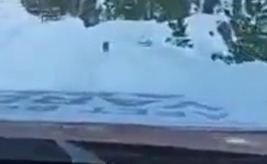 Kishin humbur në male, ndihma e papritur u erdhi nga një qen – ekipin e shpëtimit i dërgoi drejt fshatit turk që ishte bllokuar nga bora