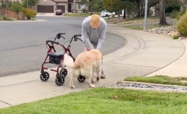 Qeni e pret çdo ditë fqinjin e moshuar, shikoni si e përshëndesin njëri-tjetrin
