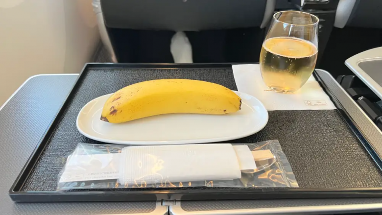 Porositi ushqim vegan në aeroplan, ja sollën një banane dhe 2 shkopinj