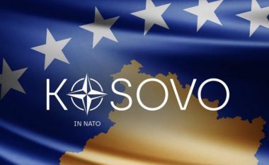 Anëtarësimi i Kosovës në NATO, nuk bëhen publike rezultatet e grupit punues