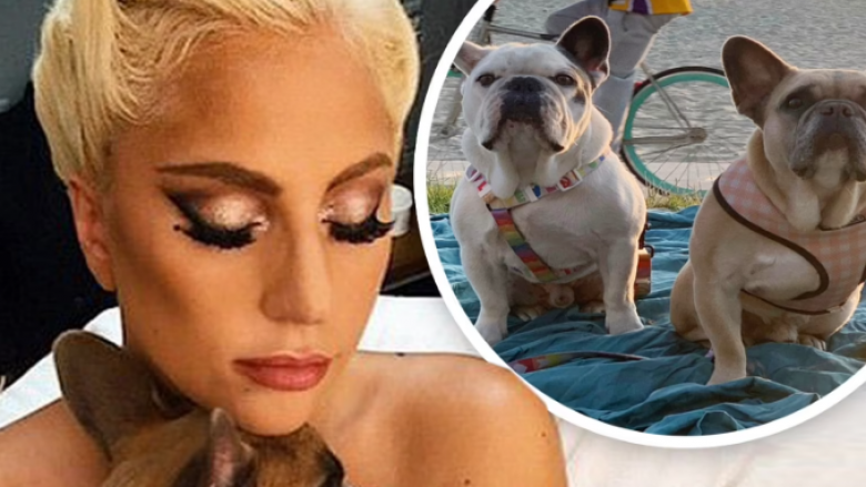 Nuk e mbajti premtimin – Lady Gaga paditet nga gruaja që ia gjeti qentë për mospagimin e shpërblimit prej 500 mijë eurosh