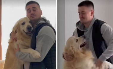Një pronar tregon se si i thotë lamtumirë qenit kur shkon në një udhëtim