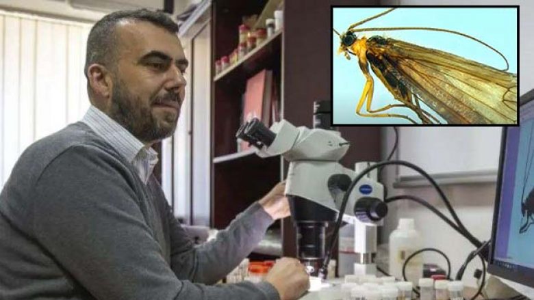 Të mërkurën prezantohet insekti i ri i zbuluar në Kosovë