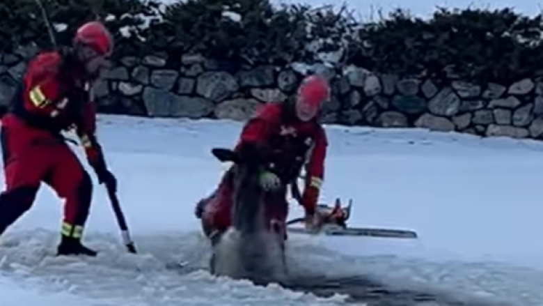 Zjarrfikësit në Kolorado shpëtojnë drerin që u bllokua në një pellg të mbuluar nga akulli