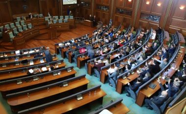 LVV zëvendëson anëtarët e komisioneve parlamentare
