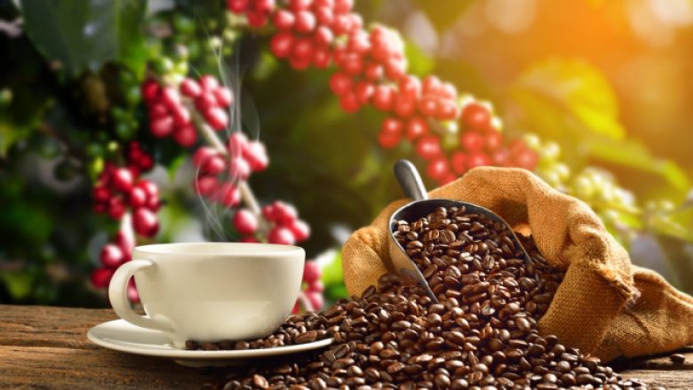 Ndryshimet klimatike po ndikojnë edhe në kafe – si po ndryshojnë metodat e kultivimit të saj