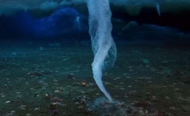“Gishti i vdekjes”, filmohet fenomeni nënujor që vret gjithçka që prekë