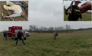 Zebra për pak sa nuk ia këputi kraharorin, policia në Ohio detyrohet ta qëllojë me pushkë kafshën – publikohen pamjet
