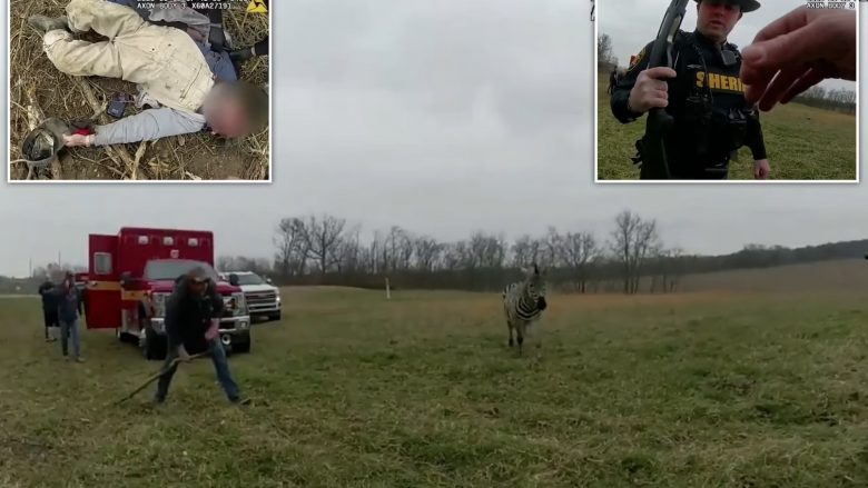 Zebra për pak sa nuk ia këputi kraharorin, policia në Ohio detyrohet ta qëllojë me pushkë kafshën – publikohen pamjet