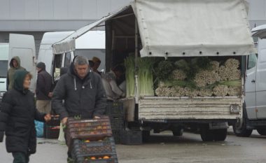 Paga mesatare në Shqipëri, bujqësia njeh rritjen më të madhe – por është sektori më i papaguar