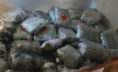 Kapen 260 kg marijuanë, arrestohen katër të rinj rumunë në Shqipëri