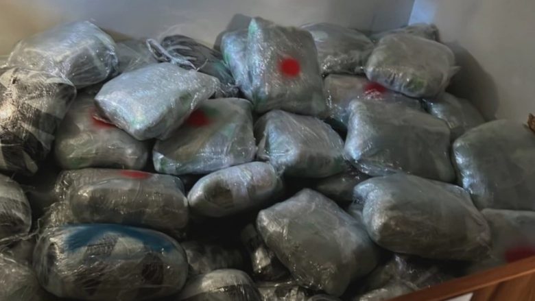 Kapen 260 kg marijuanë, arrestohen katër të rinj rumunë në Shqipëri