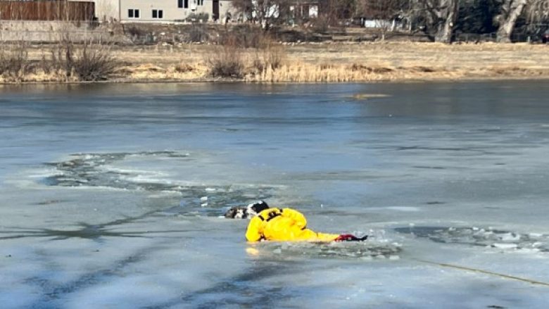 Shpëtohen dy qen në Kolorado të cilët përfunduan në liqenin e ngrirë