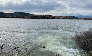 Tragjedia në Sarandë, 4-vjeçari ra në liqe duke ikur nga bleta