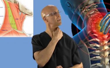 Tri ushtrime për qafë të shtangur nga një kiropraktikues amerikan: Ju duhen vetëm 90 sekonda