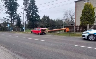 Shoferi polak transporton shtyllën gjigante prej druri me Fiat-in e tij të vogël