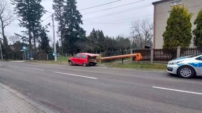 Shoferi polak transporton shtyllën gjigante prej druri me Fiat-in e tij të vogël