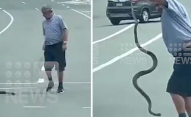 Një shofer autobusi në Australi largoi një gjarpër nga rruga duke e kapur nga bishti