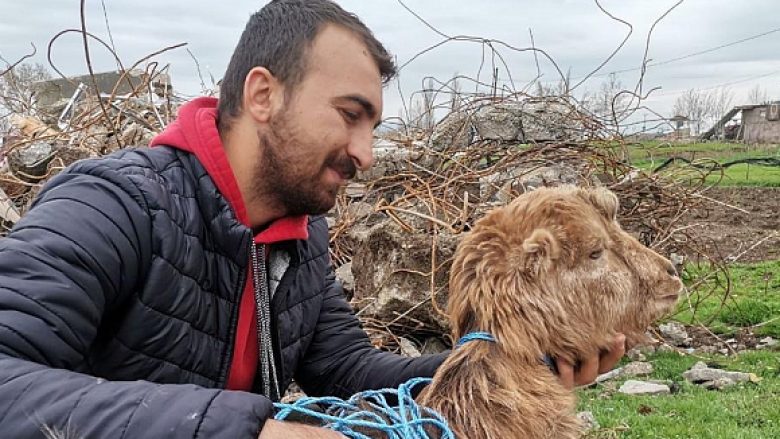 Çfarë mrekullie: Dhia mbijetoi, edhe pse qëndroi për 47 ditë nën rrënoja, pas tërmetit shkatërrues në Turqi