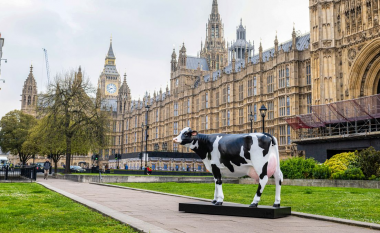 Londinezët të hutuar nga skulptura e pazakontë e lopës e cila është vendosur në Westminster
