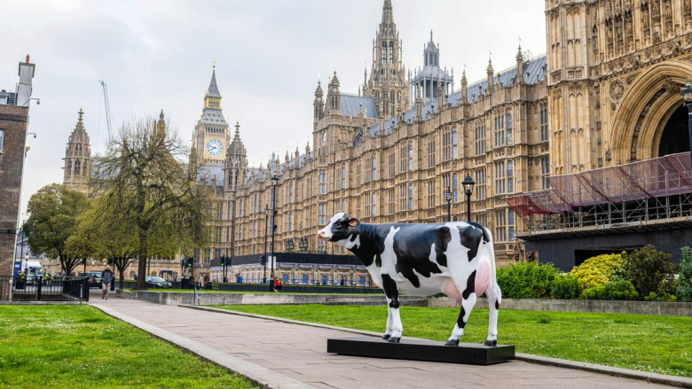 Londinezët të hutuar nga skulptura e pazakontë e lopës e cila është vendosur në Westminster