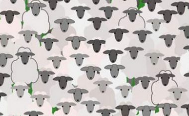 Ju keni një IQ të lartë nëse mund ta dalloni dhinë e fshehur mes deleve brenda 11 sekondave