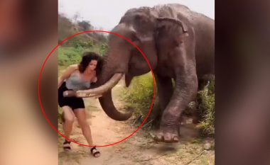 E joshi me banane dhe në fund nuk ia dha, momenti kur elefanti godet një vajzë në Indi
