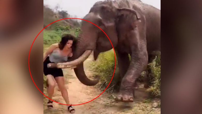 E joshi me banane dhe në fund nuk ia dha, momenti kur elefanti godet një vajzë në Indi