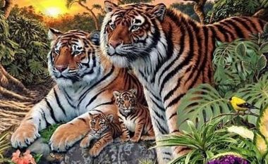 A mund t’i dalloni 16 tigra në këtë imazh?