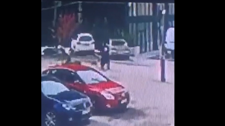 Qentë endacakë sulmojnë një grua në Prishtinë