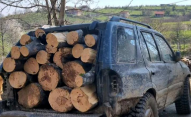 Policia ndalon 17 vjeçarin në Shtërpcë, ishte duke transportuar drunjë ilegalisht