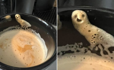 Amerikania ‘gjeti një buf’ në kafen e saj të mëngjesit