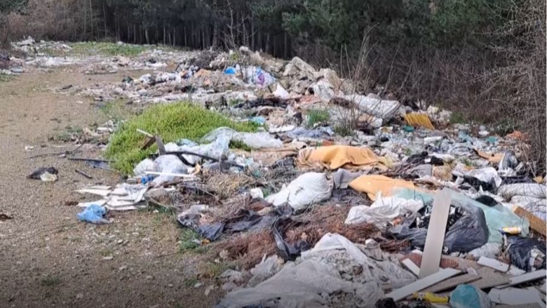Deponi e egër afër parkut të pishave në Sllupçan, Arifi: E pastrojmë por njerëz të papërgjegjshëm hedhin sërish mbeturina