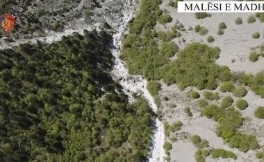 ‘Alpe të pastra”, megaoperacion në Shkodër, forca policore e dronë për kontrollin e maleve kundër kultivimit të kanabisit
