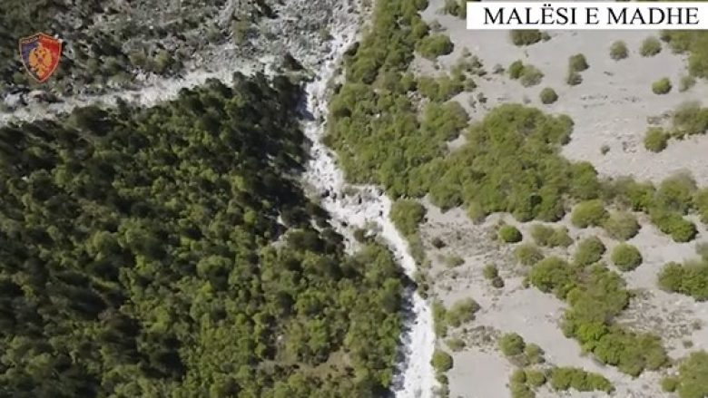 ‘Alpe të pastra”, megaoperacion në Shkodër, forca policore e dronë për kontrollin e maleve kundër kultivimit të kanabisit