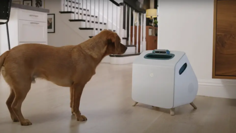 Ky robot kujdeset për qentë, mund të ushqejë dhe të luajë me ta ndërsa ju jeni larg