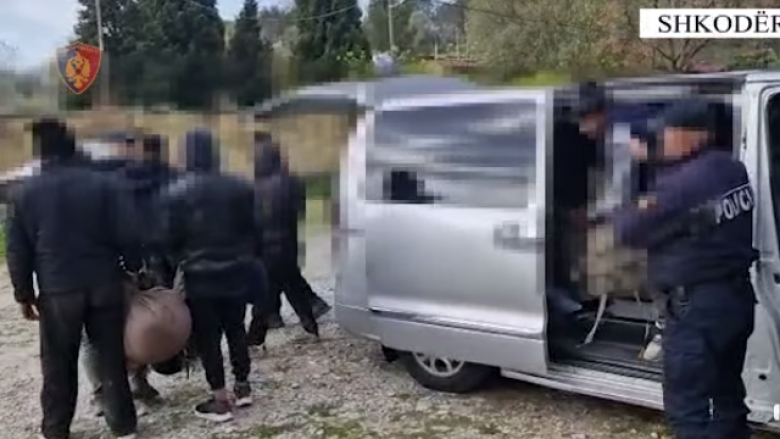 Kapet me 13 emigrantë të paligjshëm, arrestohet 66-vjeçari në Shkodër