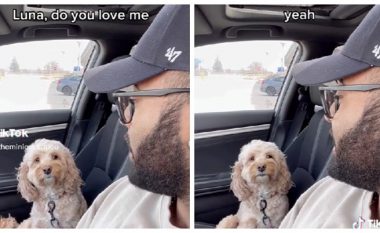 Pronari e pyeti qenin nëse e donte, reagimi i kafshës bëhet hit në internet