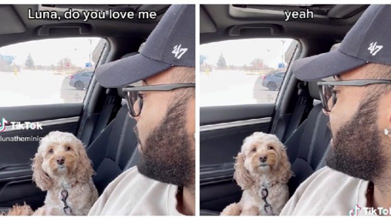 Pronari e pyeti qenin nëse e donte, reagimi i kafshës bëhet hit në internet