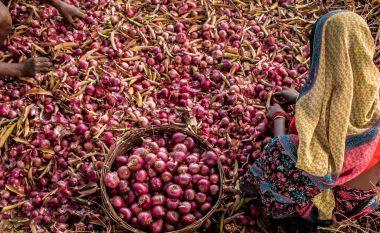 FAO: Pabarazitë gjinore në ushqim po i kushtojnë botës 1 trilion dollarë