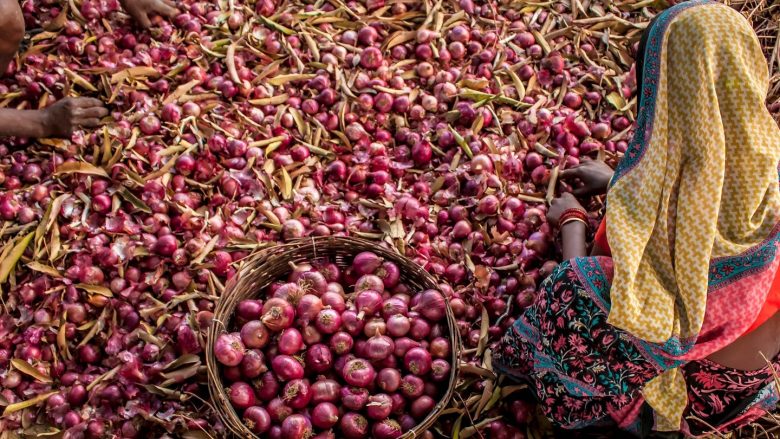 FAO: Pabarazitë gjinore në ushqim po i kushtojnë botës 1 trilion dollarë
